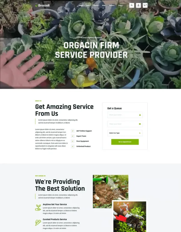 Broccoli - Organic Food Store Shopify Theme OS 2.0 - Image 4